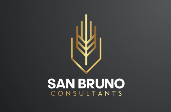 San Bruno Consultants LLC